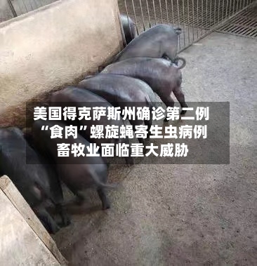 美国得克萨斯州确诊第二例“食肉	”螺旋蝇寄生虫病例 畜牧业面临重大威胁-第2张图片