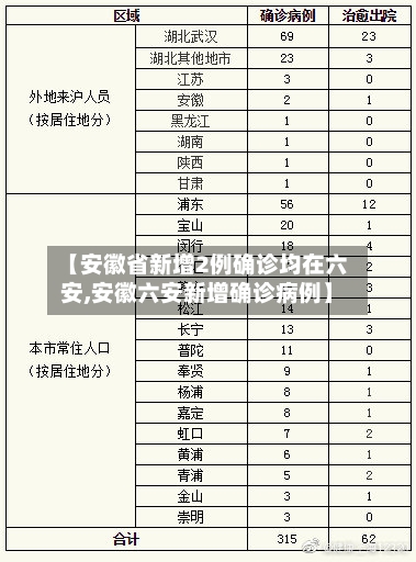 【安徽省新增2例确诊均在六安,安徽六安新增确诊病例】-第3张图片