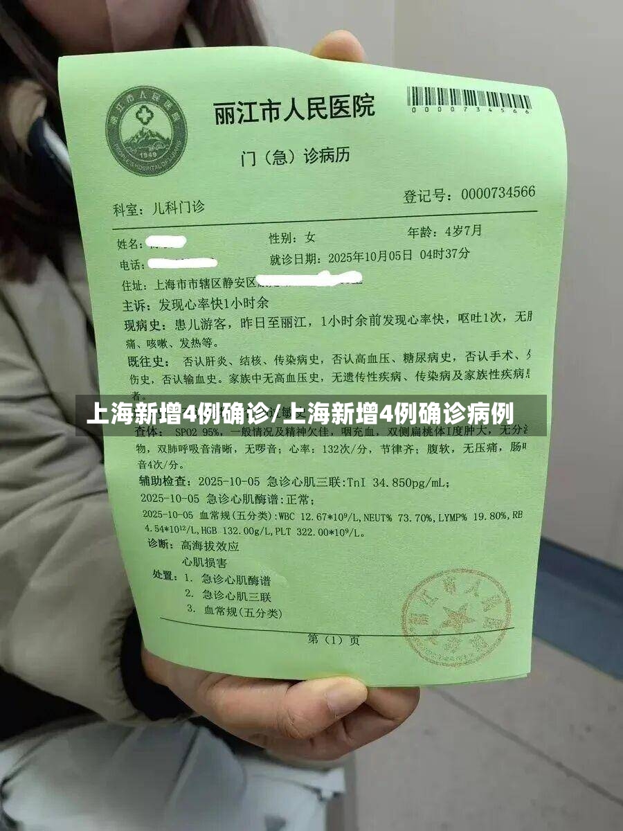 上海新增4例确诊/上海新增4例确诊病例