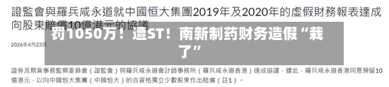 罚1050万！遭ST！南新制药财务造假“栽了	”-第2张图片