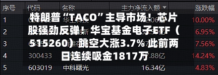 特朗普“TACO”主导市场！芯片股强劲反弹！华宝基金电子ETF（515260）跳空大涨3.7% 此前两日连续吸金1817万-第3张图片