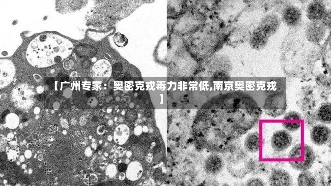 【广州专家：奥密克戎毒力非常低,南京奥密克戎】-第3张图片