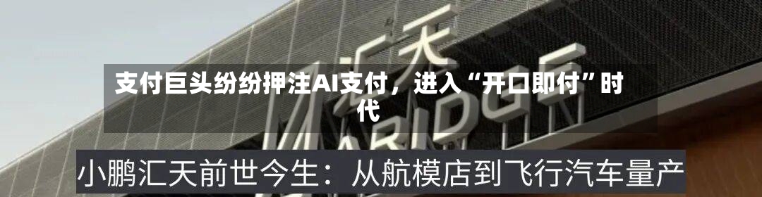 支付巨头纷纷押注AI支付，进入“开口即付	”时代-第2张图片