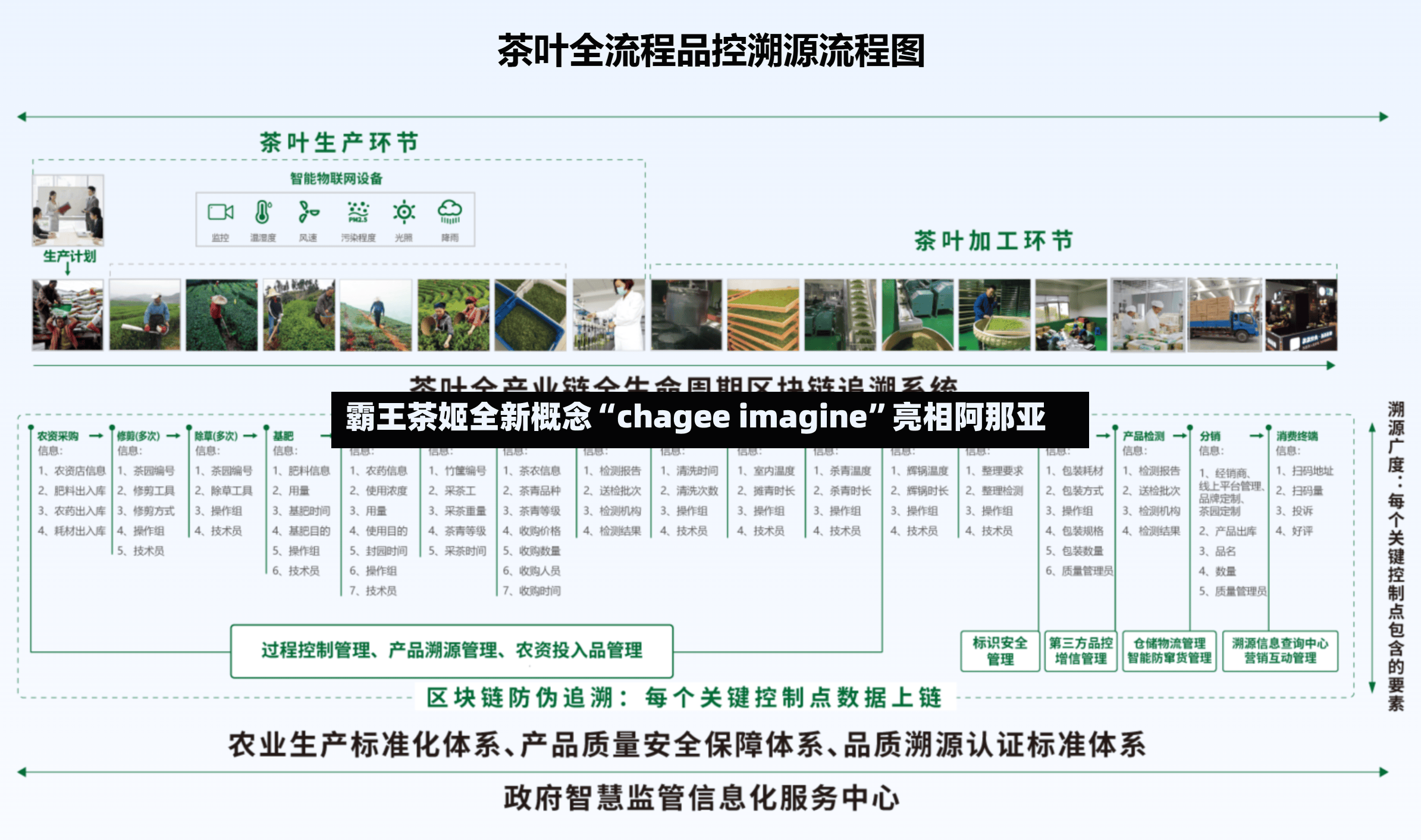 霸王茶姬全新概念“chagee imagine	”亮相阿那亚-第3张图片