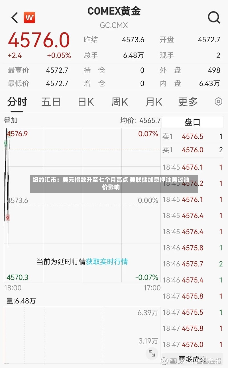 纽约汇市:美元指数升至七个月高点 美联储加息押注盖过油价影响-第2张图片