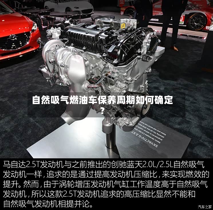 自然吸气燃油车保养周期如何确定?-第3张图片