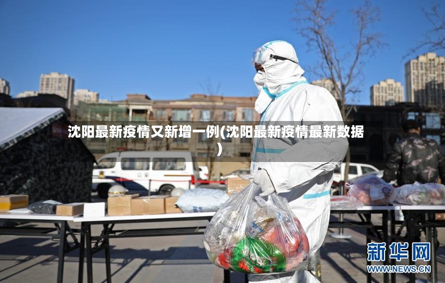 沈阳最新疫情又新增一例(沈阳最新疫情最新数据)