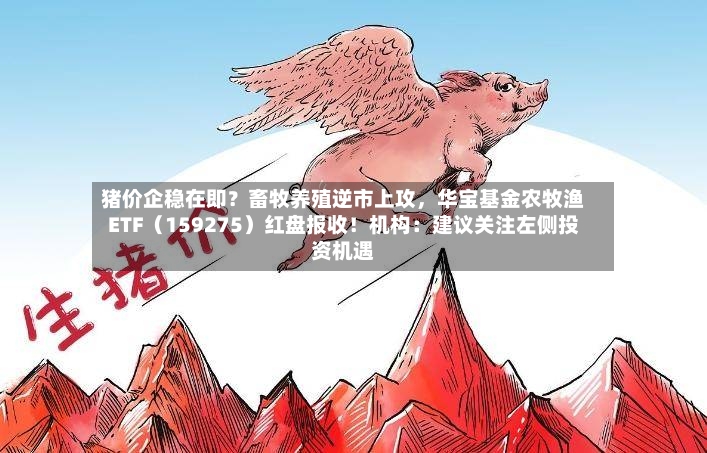 猪价企稳在即？畜牧养殖逆市上攻，华宝基金农牧渔ETF（159275）红盘报收！机构：建议关注左侧投资机遇-第2张图片