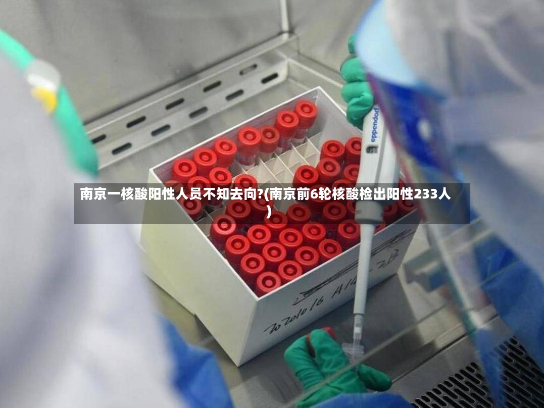 南京一核酸阳性人员不知去向?(南京前6轮核酸检出阳性233人)-第2张图片