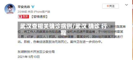武汉查相关确诊病例/武汉 确诊 行程