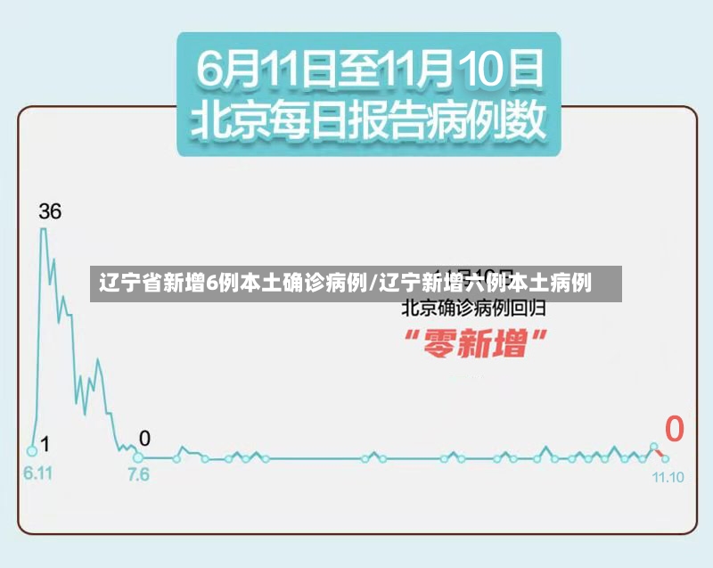 辽宁省新增6例本土确诊病例/辽宁新增六例本土病例