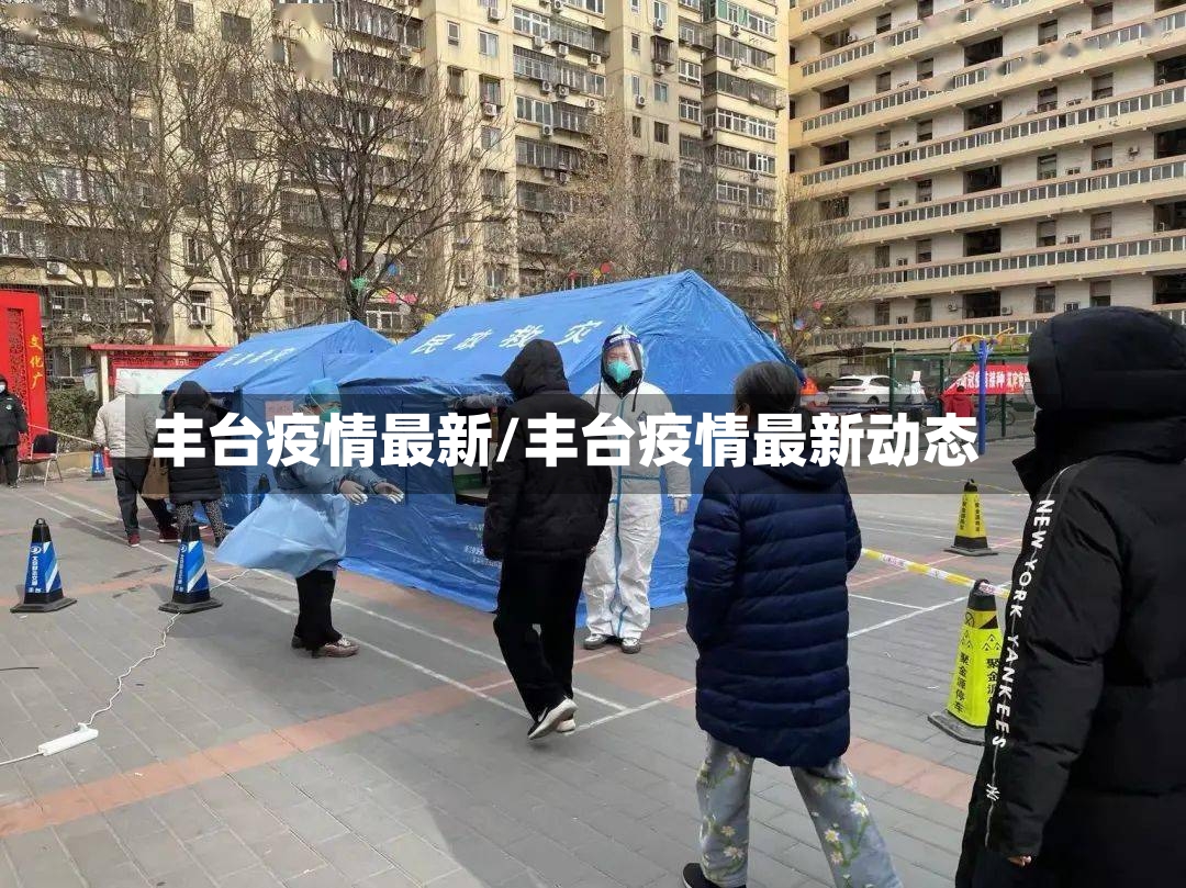 丰台疫情最新/丰台疫情最新动态-第3张图片