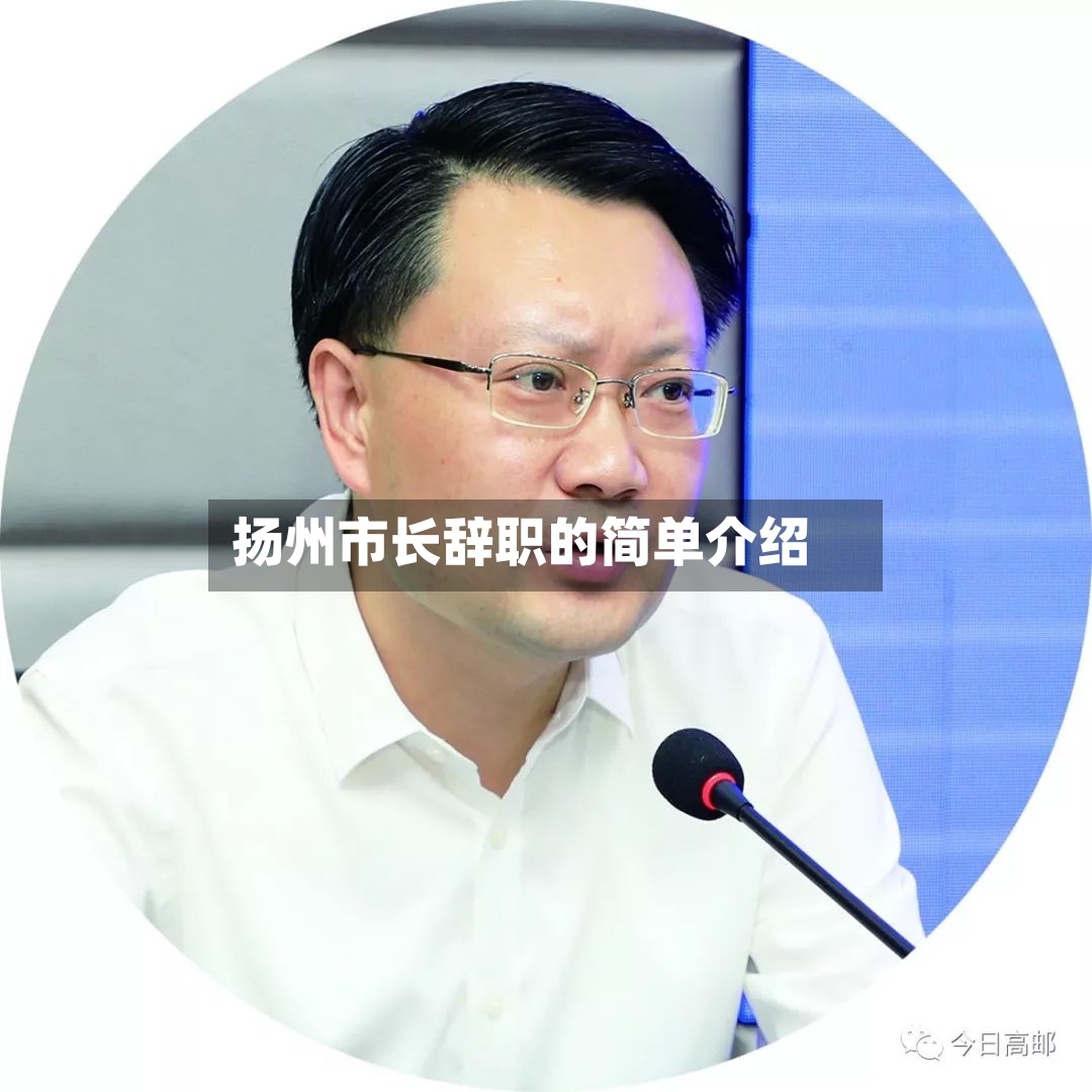 扬州市长辞职的简单介绍-第2张图片