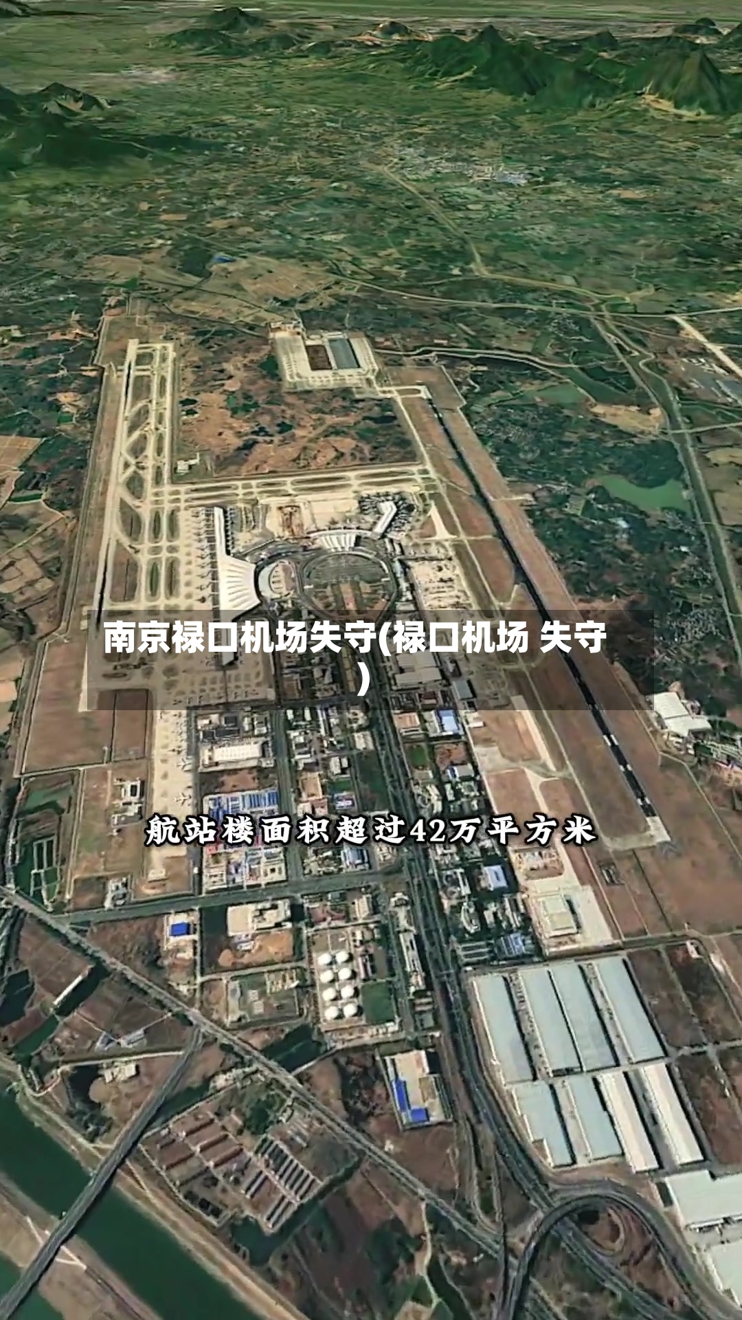 南京禄口机场失守(禄口机场 失守)-第3张图片