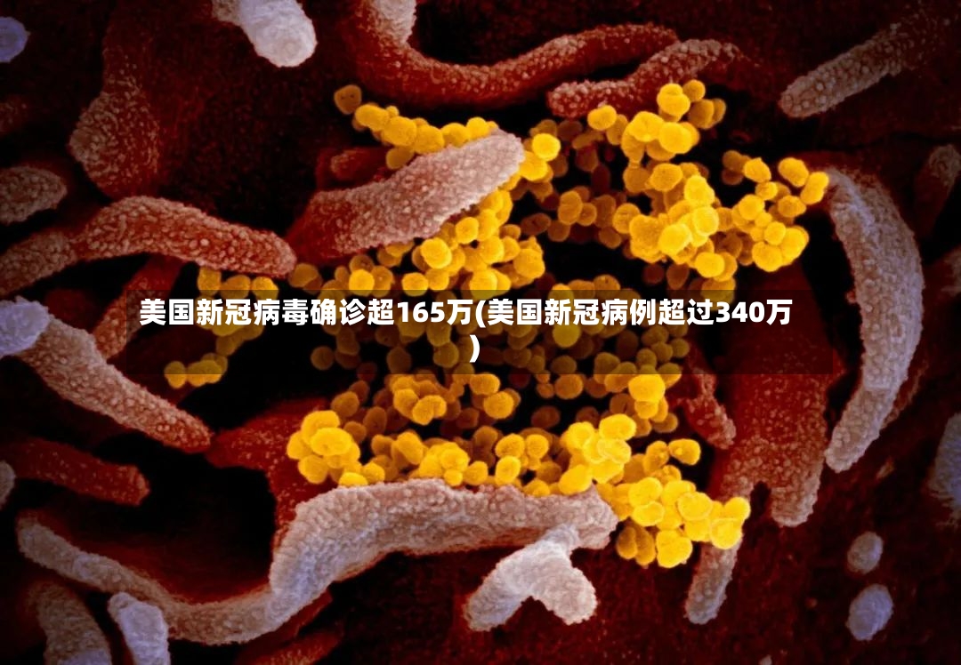 美国新冠病毒确诊超165万(美国新冠病例超过340万)-第2张图片