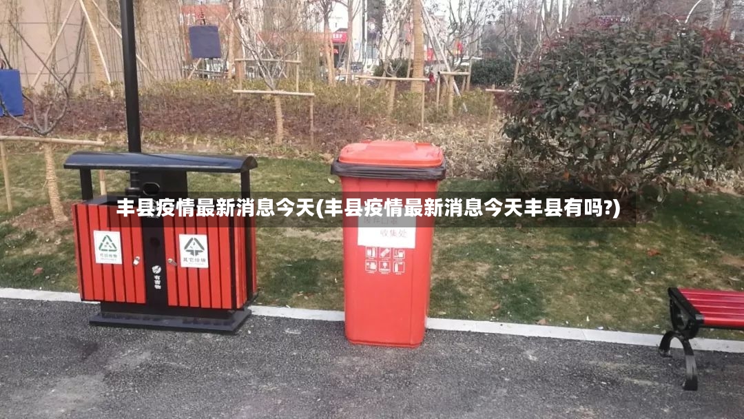 丰县疫情最新消息今天(丰县疫情最新消息今天丰县有吗?)-第3张图片