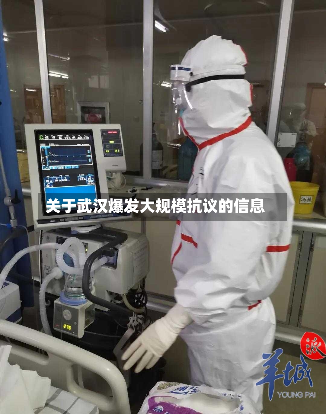 关于武汉爆发大规模抗议的信息