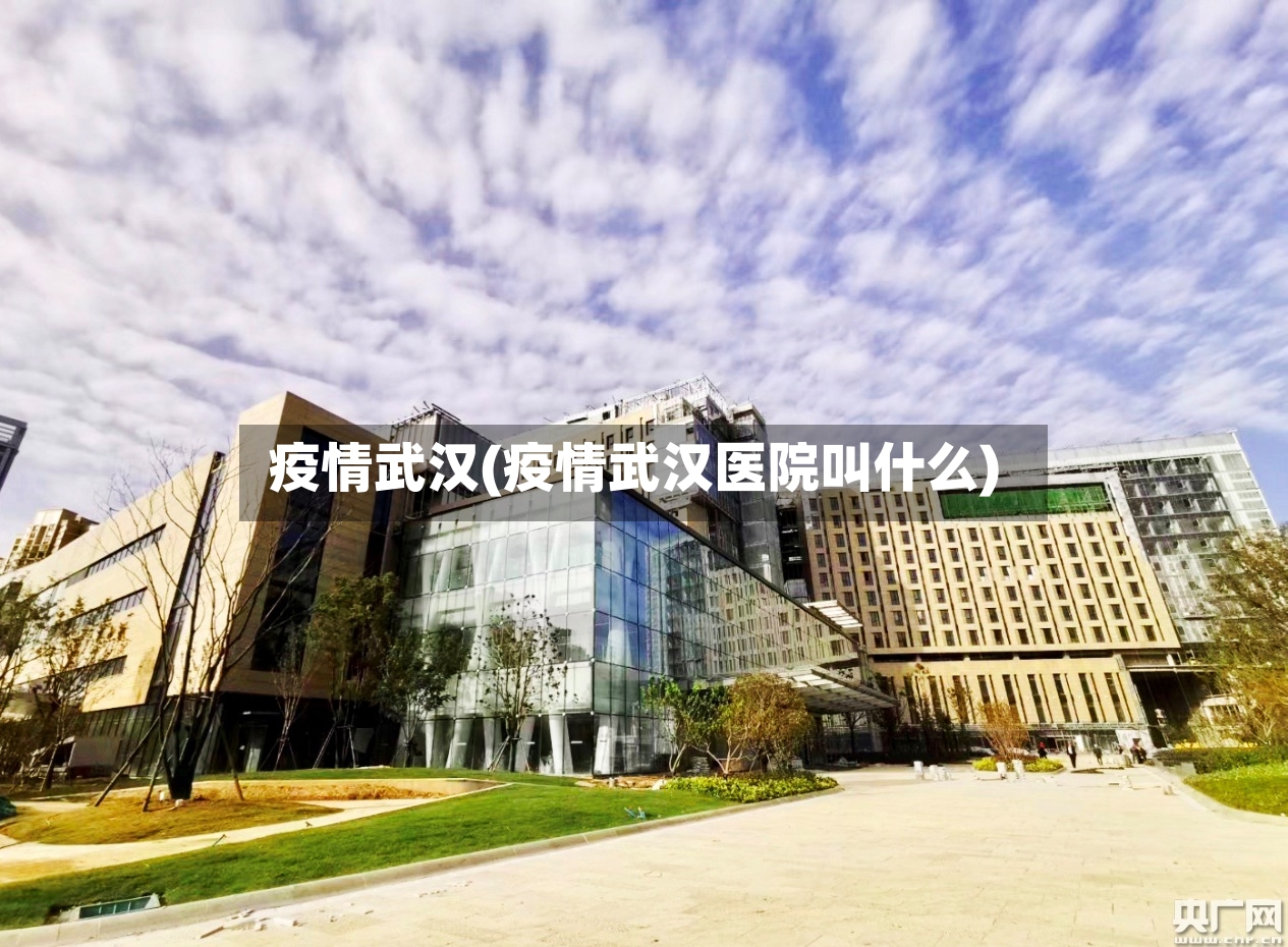 疫情武汉(疫情武汉医院叫什么)-第3张图片