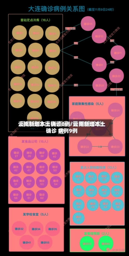 云南新增本土确诊8例/云南新增本土确诊 病例9例