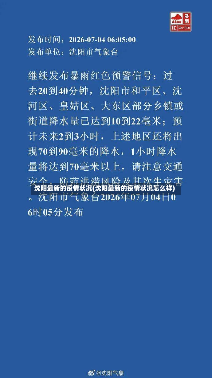 沈阳最新的疫情状况(沈阳最新的疫情状况怎么样)-第3张图片