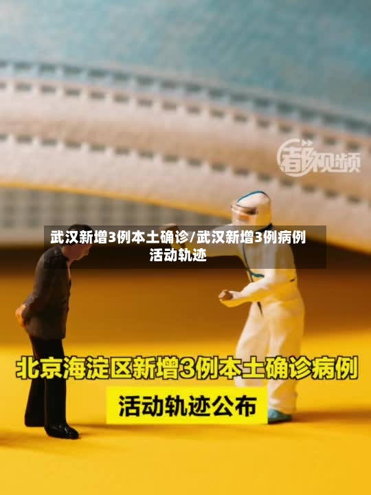 武汉新增3例本土确诊/武汉新增3例病例活动轨迹