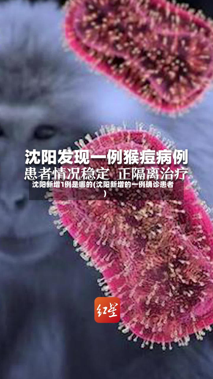 沈阳新增1例是哪的(沈阳新增的一例确诊患者)-第2张图片