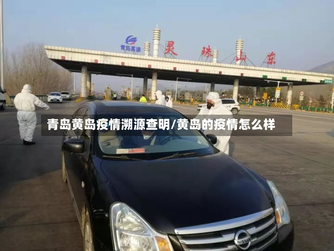 青岛黄岛疫情溯源查明/黄岛的疫情怎么样