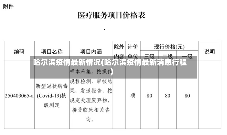 哈尔滨疫情最新情况(哈尔滨疫情最新消息行程)-第2张图片