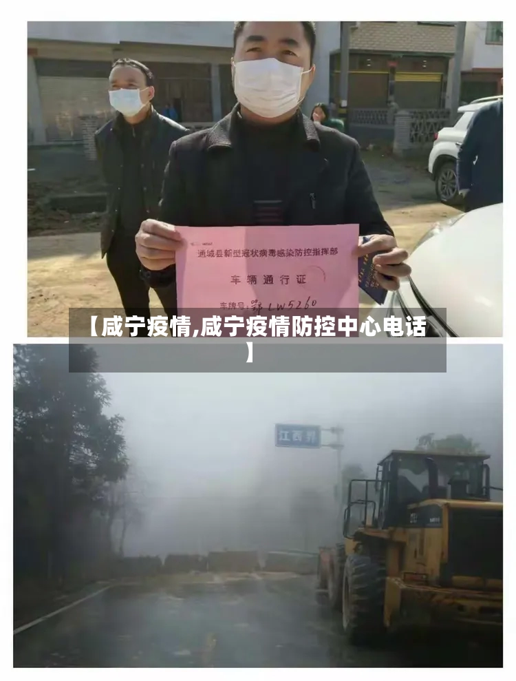 【咸宁疫情,咸宁疫情防控中心电话】-第2张图片