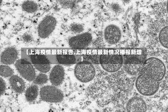 【上海疫情最新报告,上海疫情最新情况播报新增】