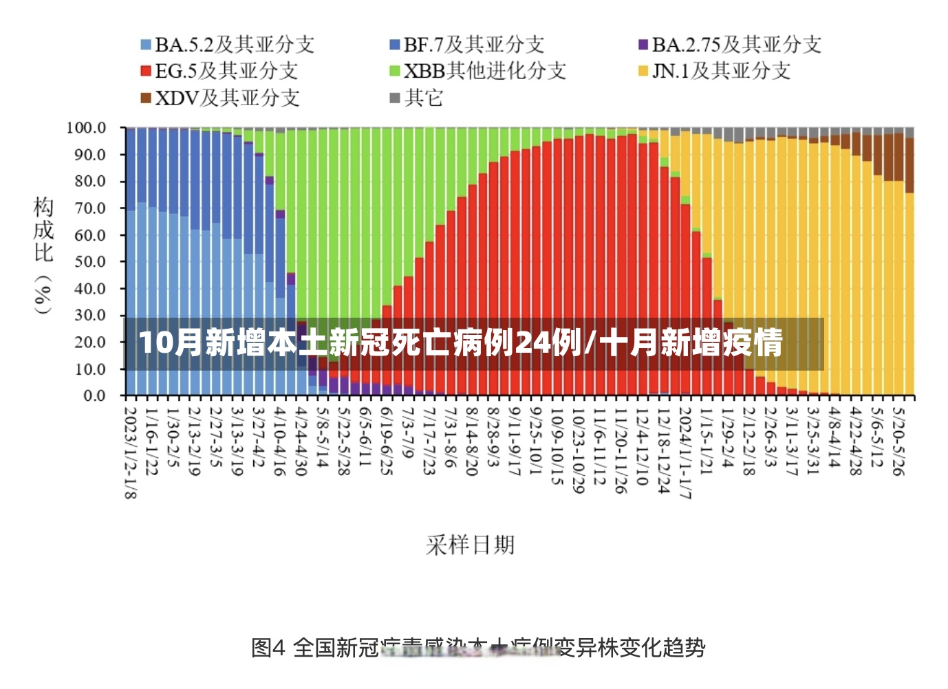 10月新增本土新冠死亡病例24例/十月新增疫情