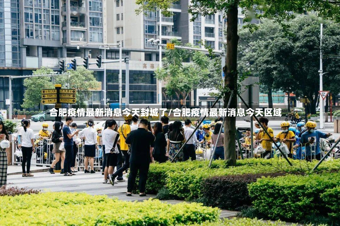 合肥疫情最新消息今天封城了/合肥疫情最新消息今天区域-第2张图片