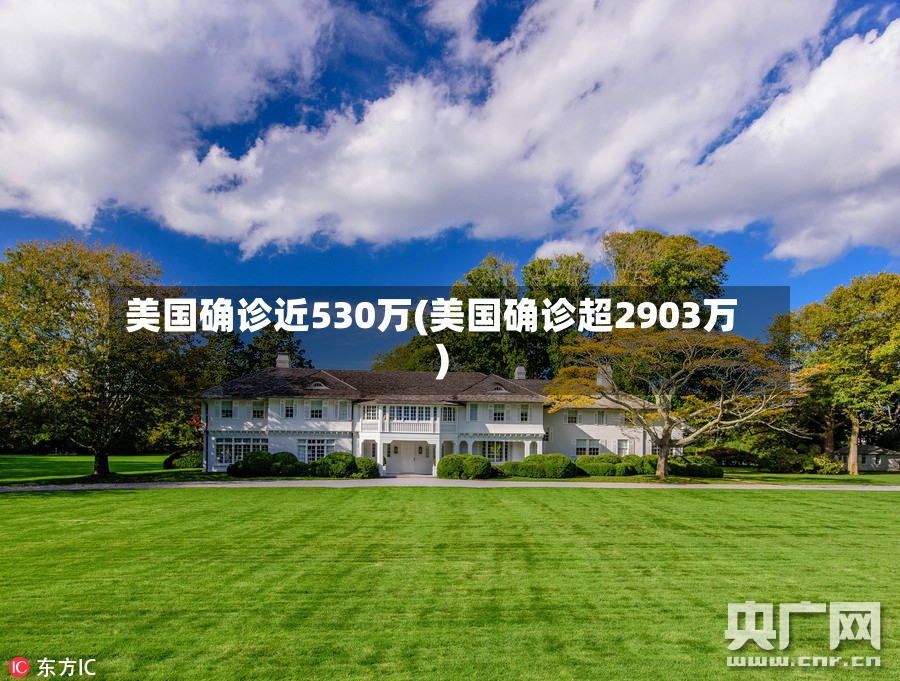 美国确诊近530万(美国确诊超2903万)