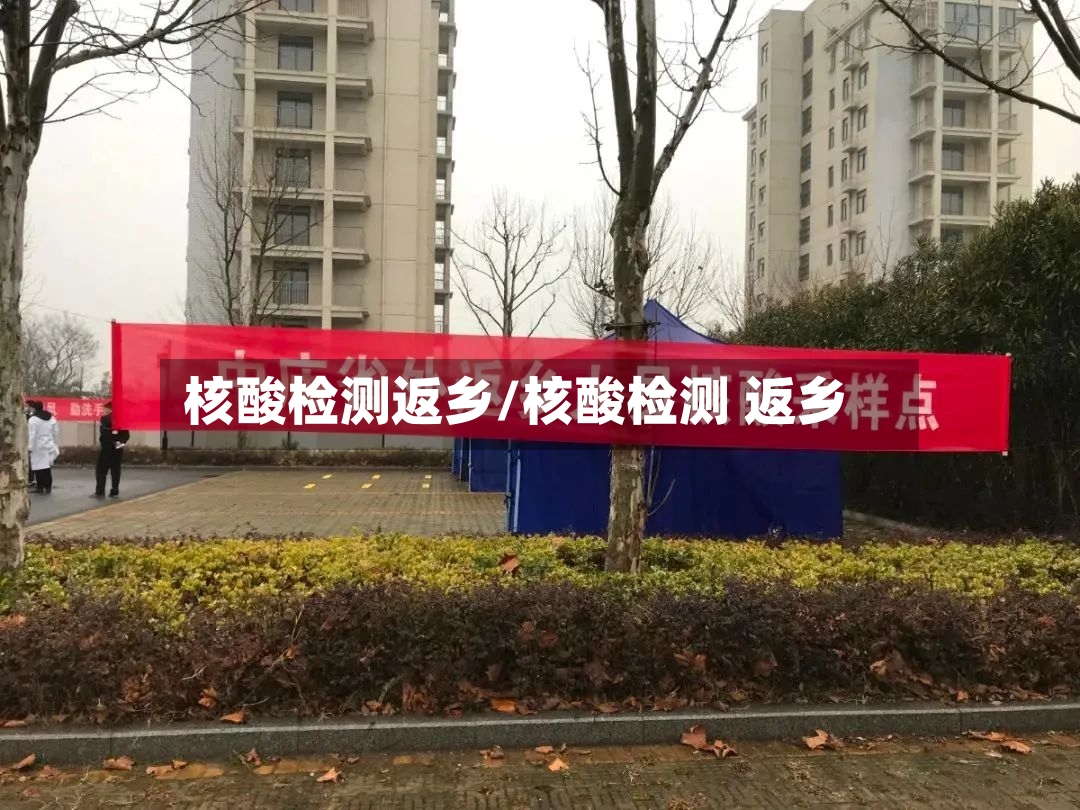 核酸检测返乡/核酸检测 返乡-第2张图片
