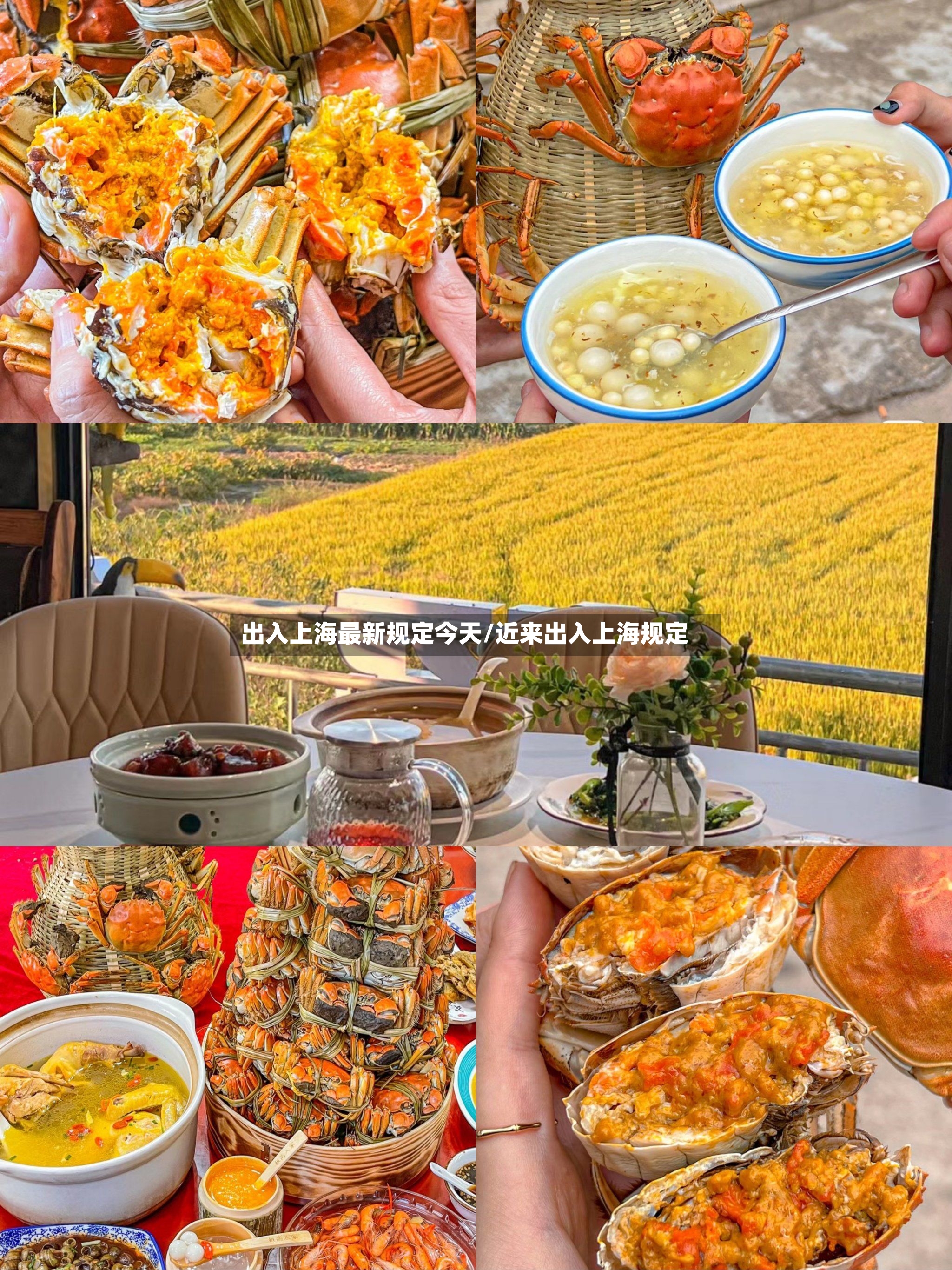 出入上海最新规定今天/近来出入上海规定