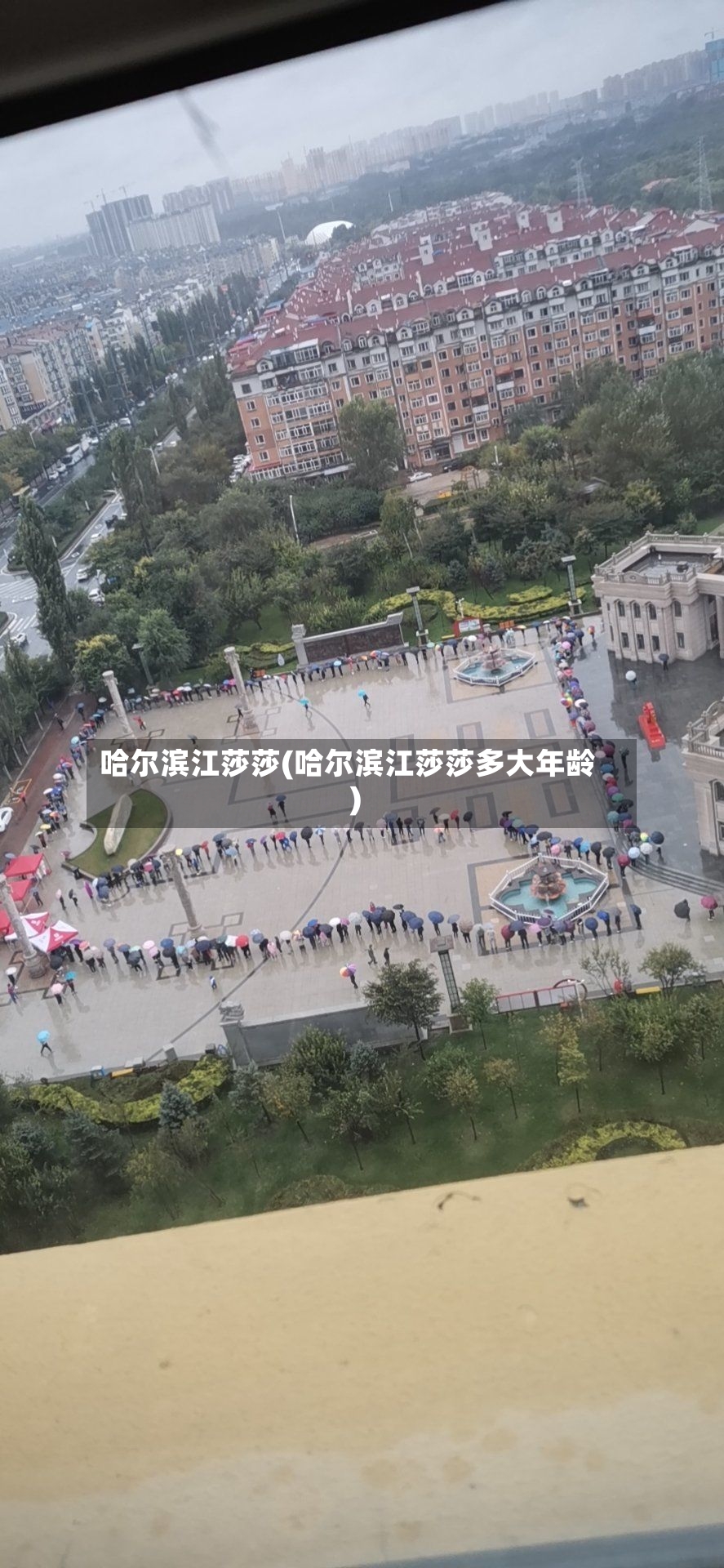 哈尔滨江莎莎(哈尔滨江莎莎多大年龄)-第3张图片