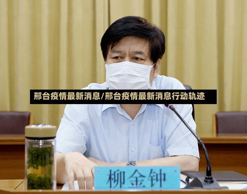 邢台疫情最新消息/邢台疫情最新消息行动轨迹-第2张图片