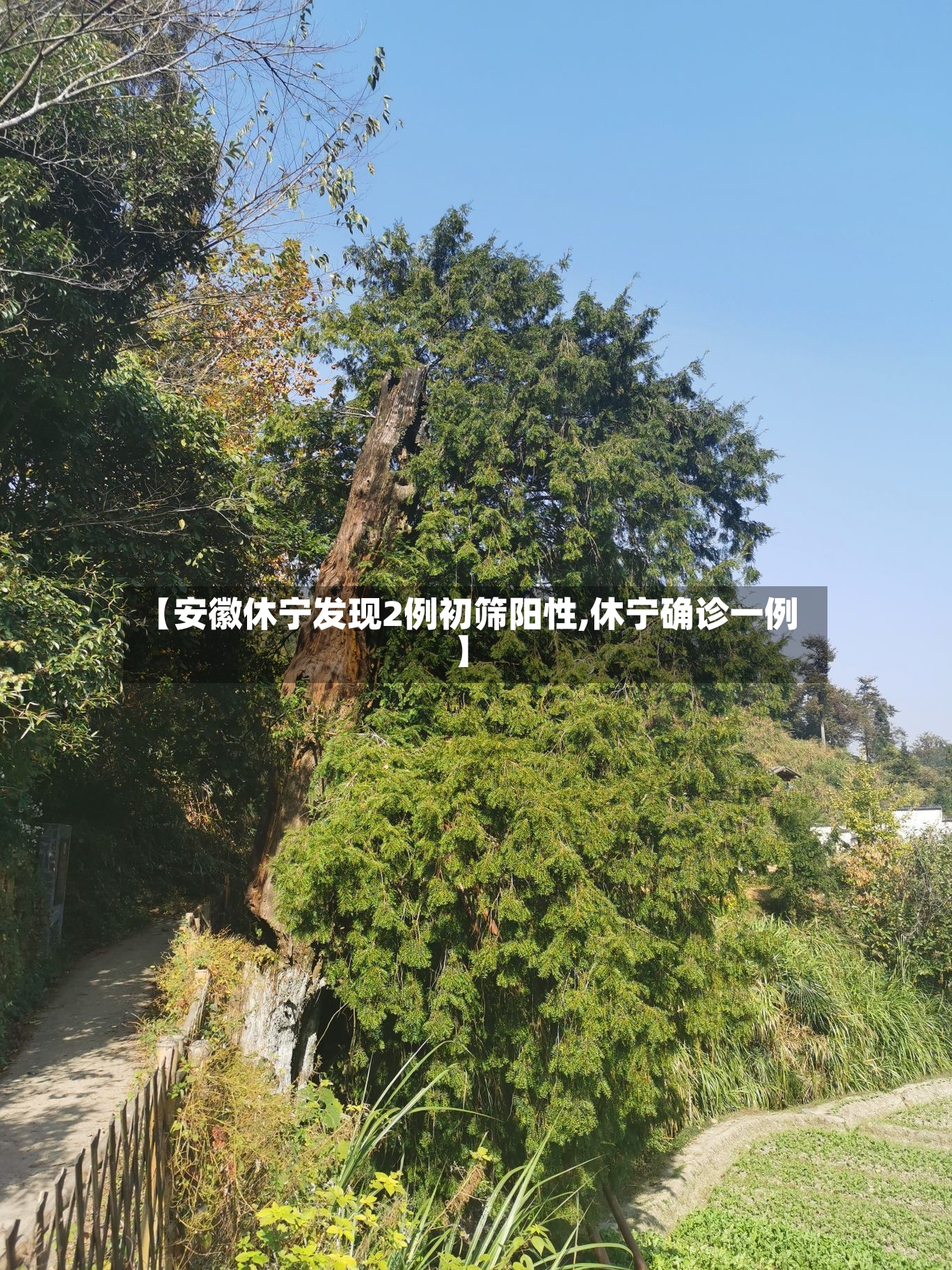 【安徽休宁发现2例初筛阳性,休宁确诊一例】-第3张图片