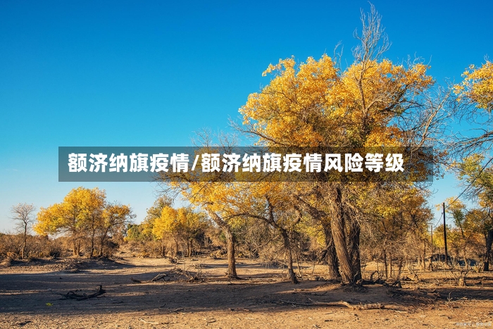 额济纳旗疫情/额济纳旗疫情风险等级