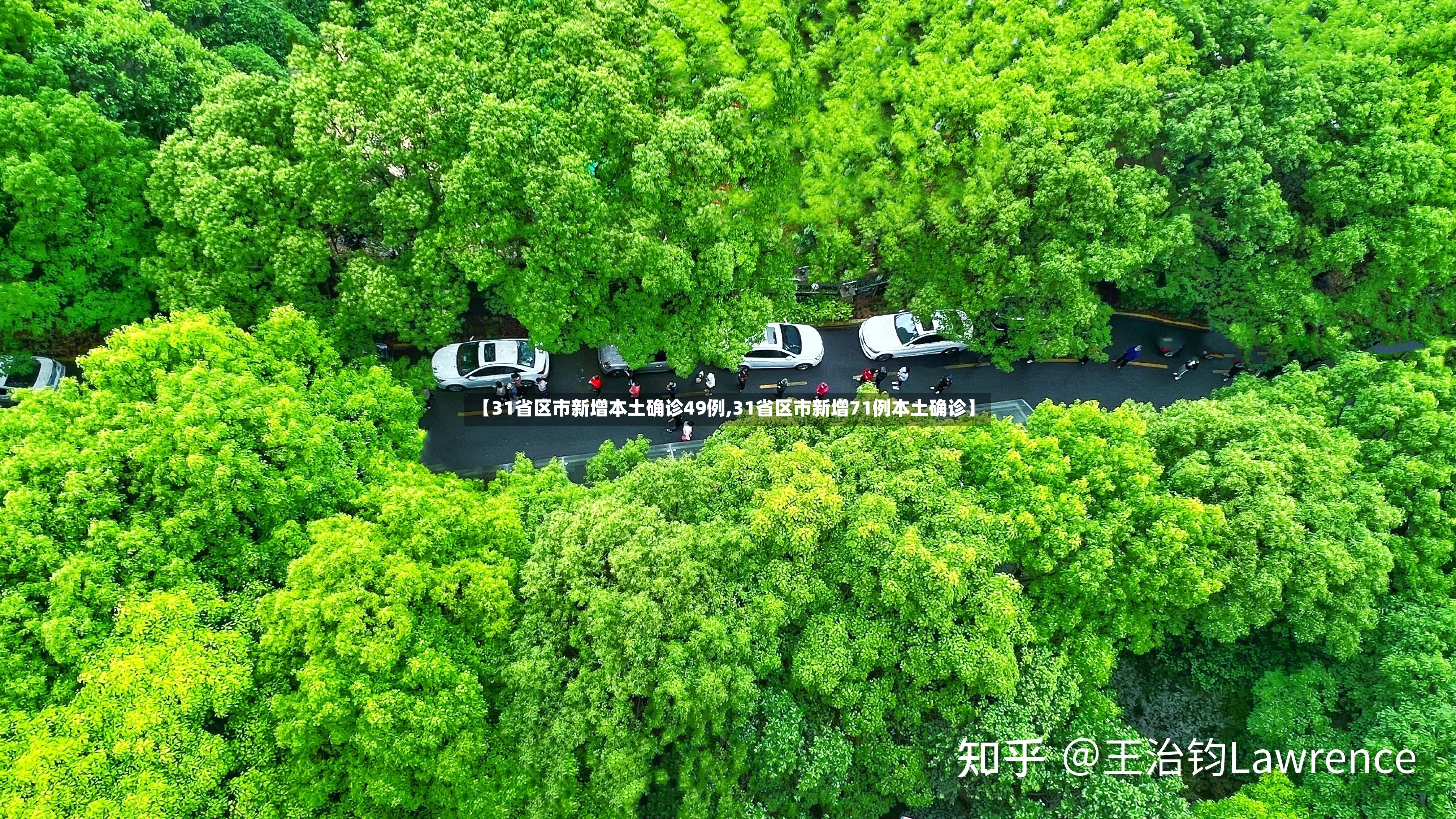 【31省区市新增本土确诊49例,31省区市新增71例本土确诊】-第2张图片