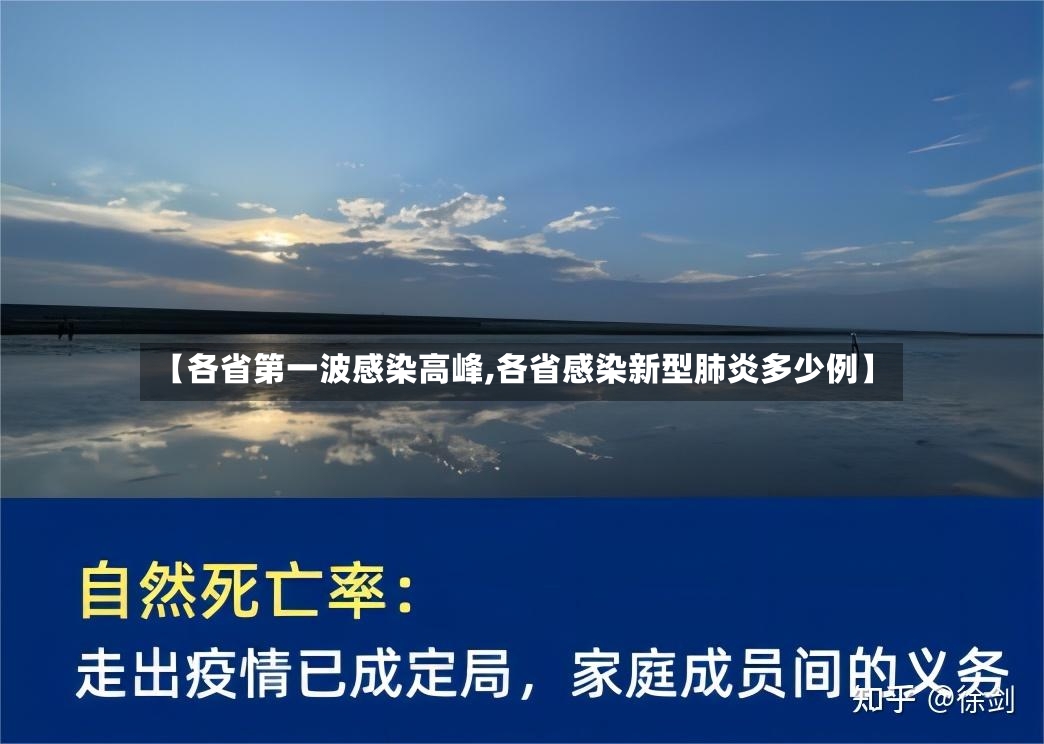 【各省第一波感染高峰,各省感染新型肺炎多少例】