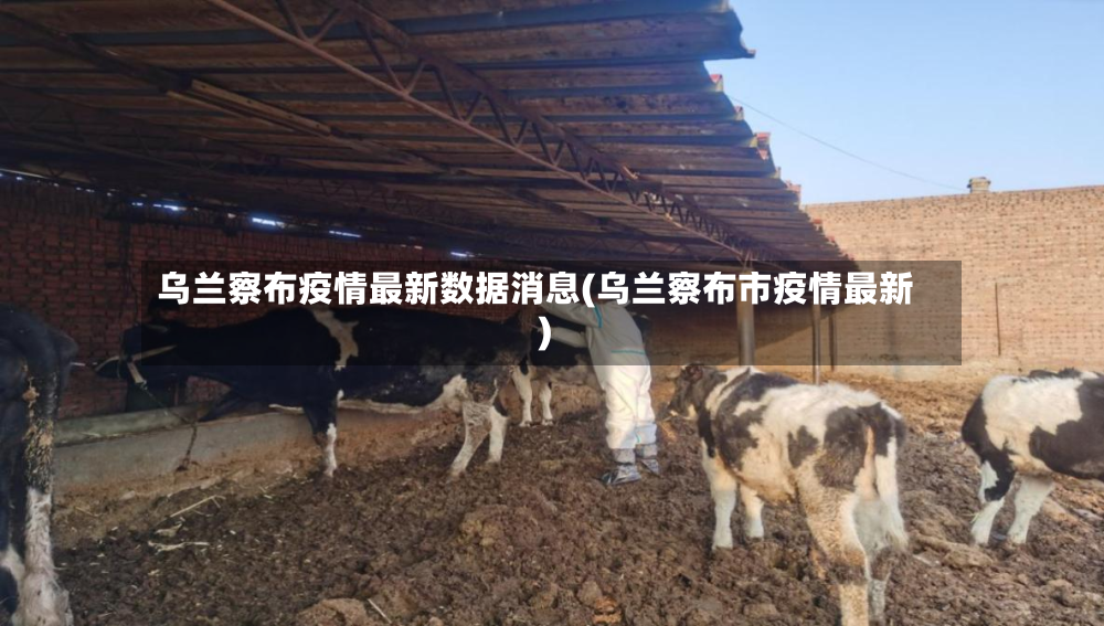乌兰察布疫情最新数据消息(乌兰察布市疫情最新)