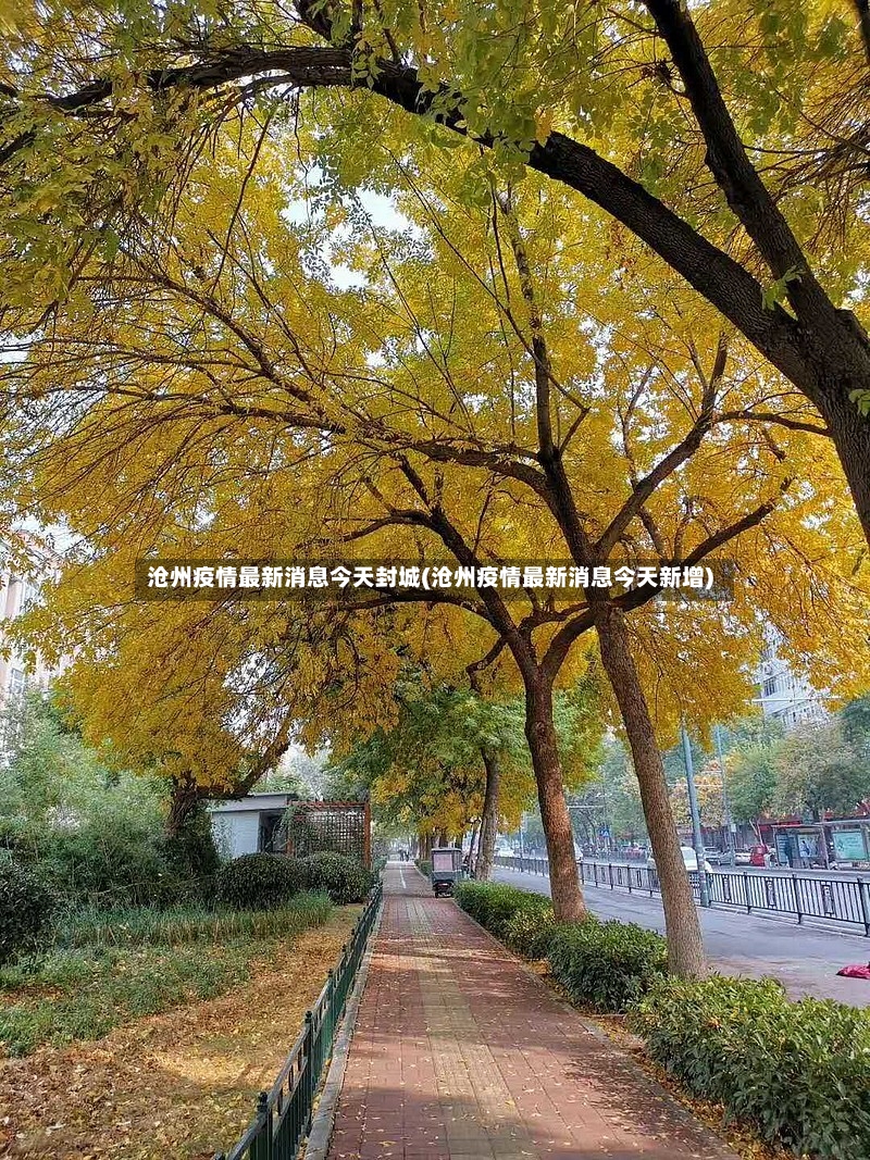 沧州疫情最新消息今天封城(沧州疫情最新消息今天新增)-第2张图片