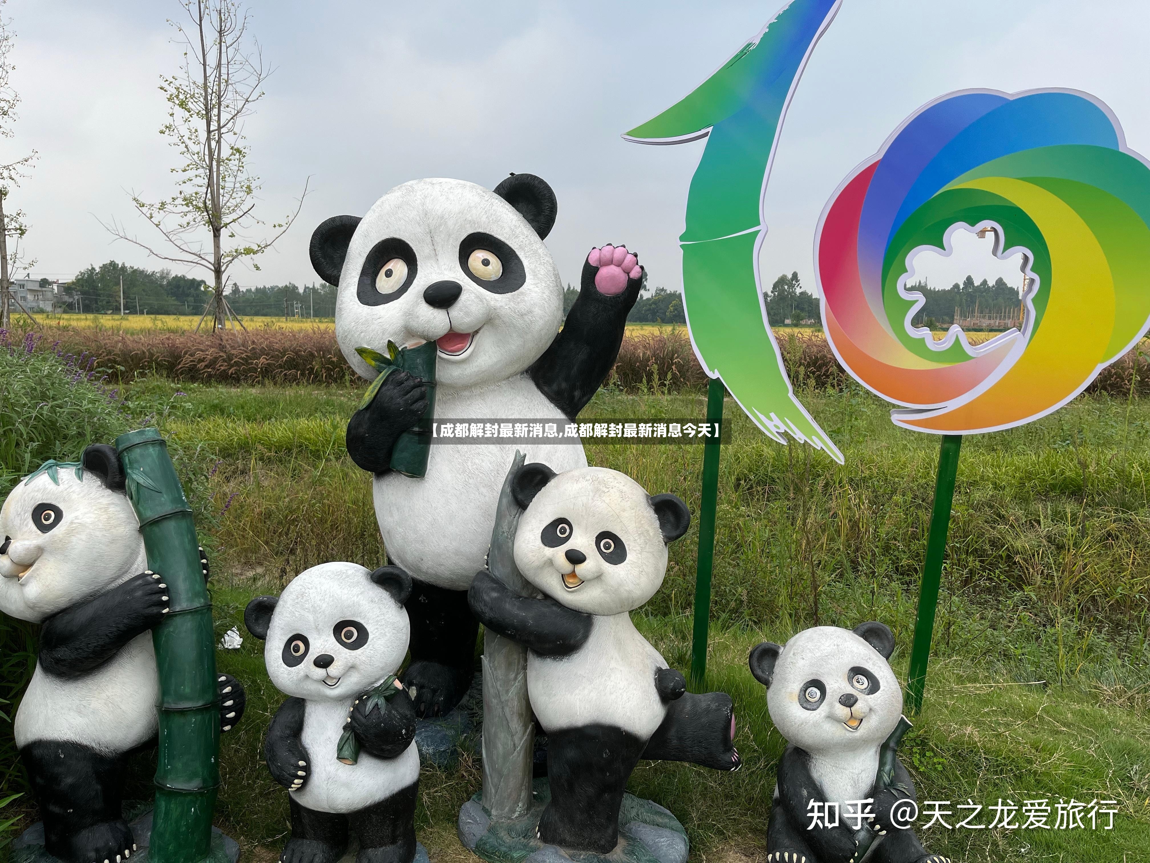【成都解封最新消息,成都解封最新消息今天】