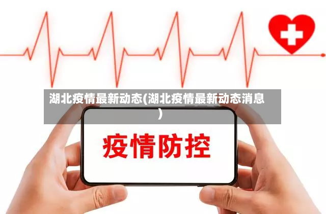 湖北疫情最新动态(湖北疫情最新动态消息)-第3张图片