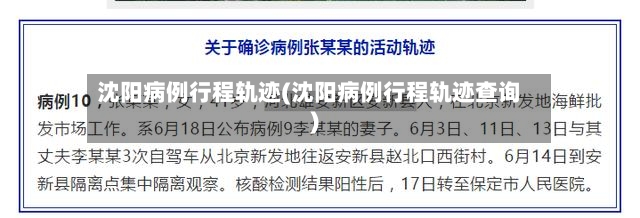沈阳病例行程轨迹(沈阳病例行程轨迹查询)