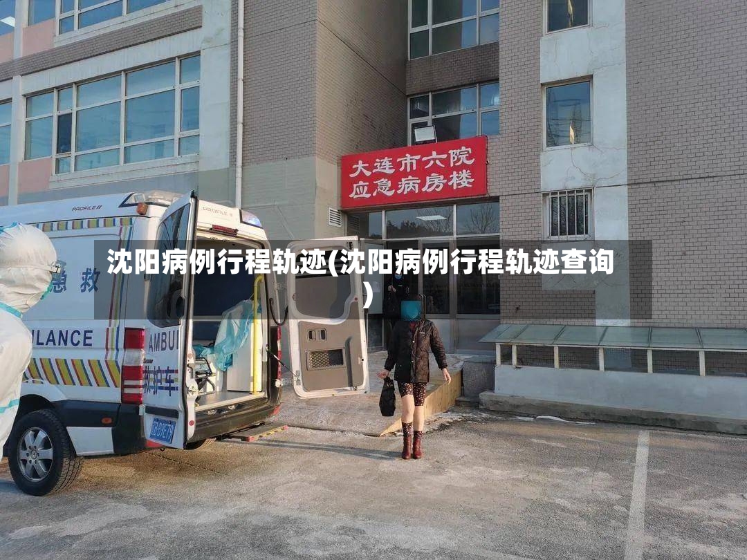 沈阳病例行程轨迹(沈阳病例行程轨迹查询)-第2张图片
