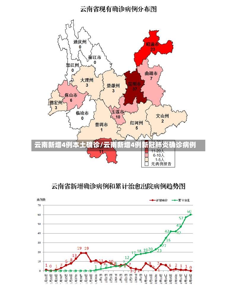 云南新增4例本土确诊/云南新增4例新冠肺炎确诊病例