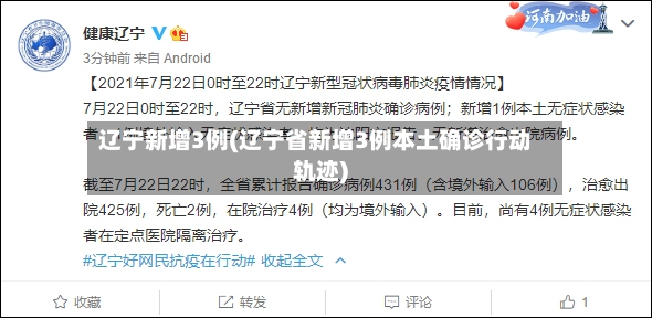 辽宁新增3例(辽宁省新增3例本土确诊行动轨迹)