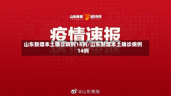 山东新增本土确诊病例14例/山东新增本土确诊病例14例